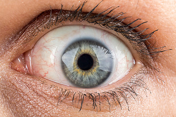 Image showing middle age woman eye macro