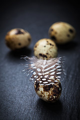 Image showing Easter still life with quail eggs