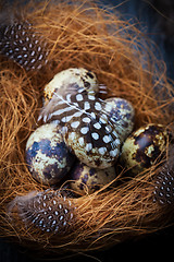 Image showing Easter still life with quail eggs