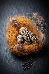 Image showing Easter still life with quail eggs