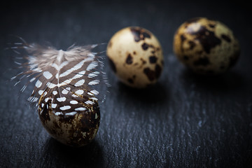 Image showing Easter still life with quail eggs