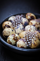 Image showing Easter still life with quail eggs