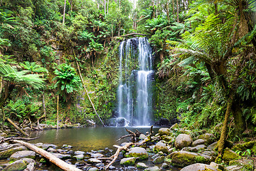 Image showing waterfall Tasmania