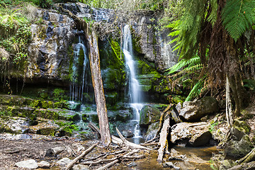 Image showing waterfall Tasmania