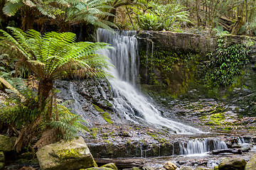 Image showing waterfall Tasmania