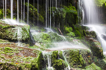 Image showing waterfall Tasmania