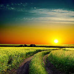 Image showing good sunset and road to horizon in green field