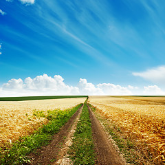 Image showing road in golden harvest to cloudy horizon