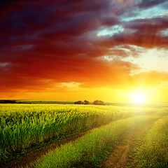 Image showing red sunset over dirty road in green field