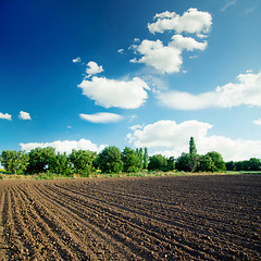 Image showing black agriculture field and blue sky with clouds