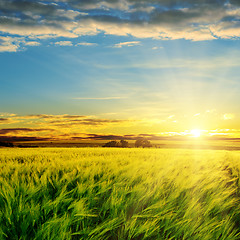 Image showing sunset in clouds over green field