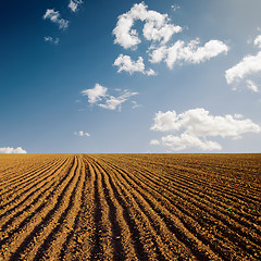 Image showing plowed field and blue sky in sunset