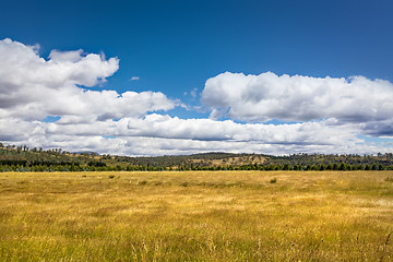 Image showing Tasmania Landscape