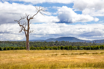 Image showing Tasmania Landscape