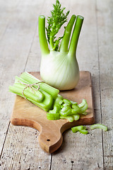 Image showing fresh organic celery and fennel 