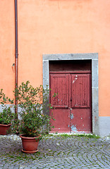 Image showing italian door