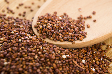 Image showing Red Quinoa grain