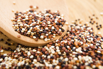 Image showing Tricolor quinoa grain