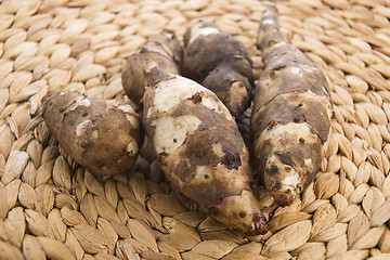 Image showing Jerusalem artichoke