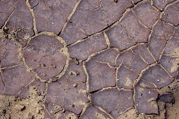 Image showing cracked land