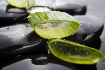 Image showing Sliced aloe leaves with oil on the stone