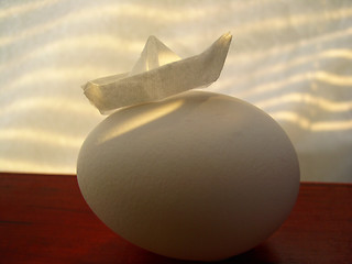 Image showing egg & paper boat