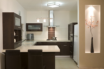 Image showing Kitchen luxury design