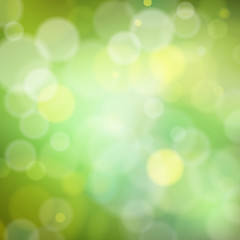 Image showing Beautiful spring forest bokeh