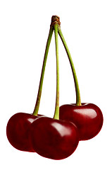 Image showing Sweet cherries