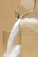 Image showing Milk