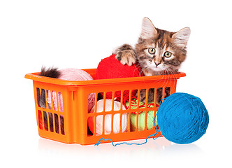 Image showing Kitten with balls of threads