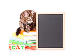 Image showing Kitten with chalkboard