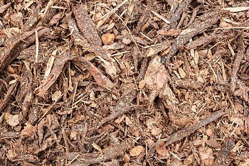 Image showing garden bark mulch texture