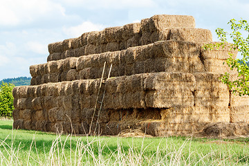 Image showing Hay stacks in a field and blue sky 