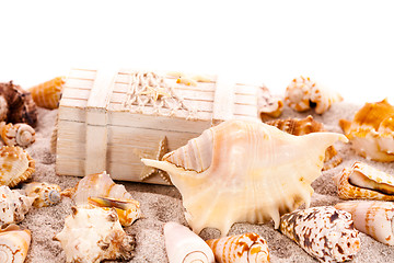 Image showing Background with seashells and treasure chest