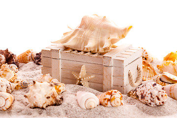 Image showing Background with seashells and treasure chest