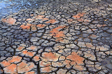 Image showing Druoght  Rain falls on dry parched cracked earth