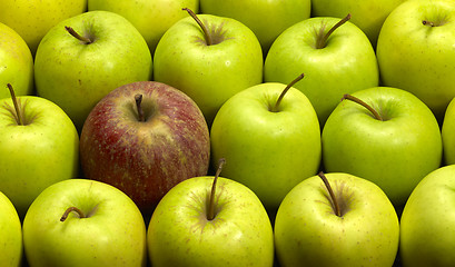 Image showing lots of apples