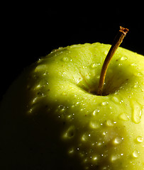 Image showing wet green apple detail