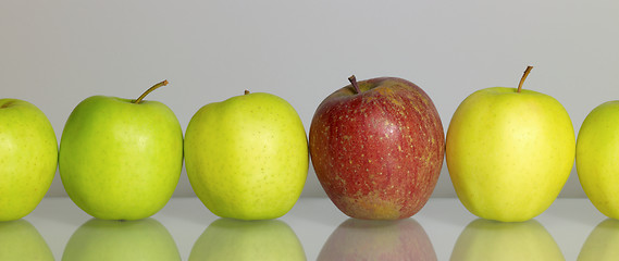 Image showing apples in a row