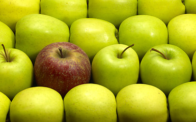 Image showing lots of apples