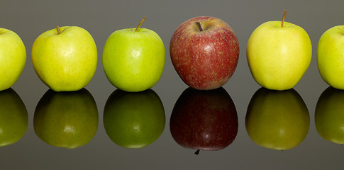 Image showing apples in a row