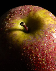 Image showing wet red apple detail