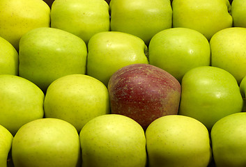 Image showing lots of fresh apples