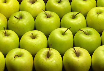 Image showing lots of apples