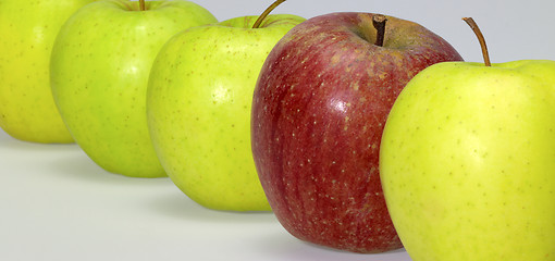 Image showing apples in a row