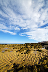 Image showing footstep cloud beach   coastline water  musk pond  and summer