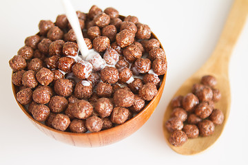 Image showing Chocolate balls