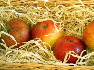 Image showing Apples in a basket