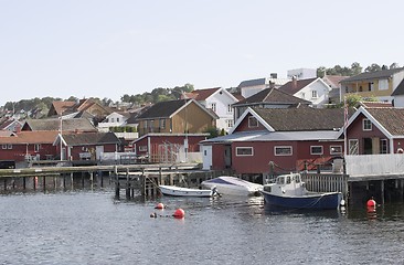 Image showing Coast